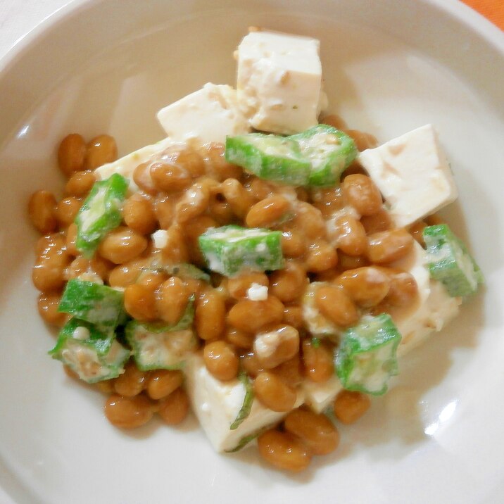 豆腐・納豆サラダ